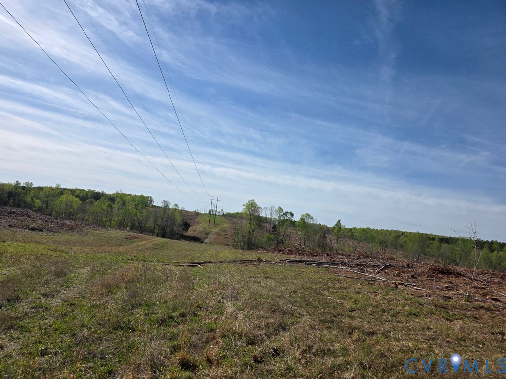 0 Farmville Road Meherrin, VA 23954 - Photo 2 of 9 a view of a field with trees in background