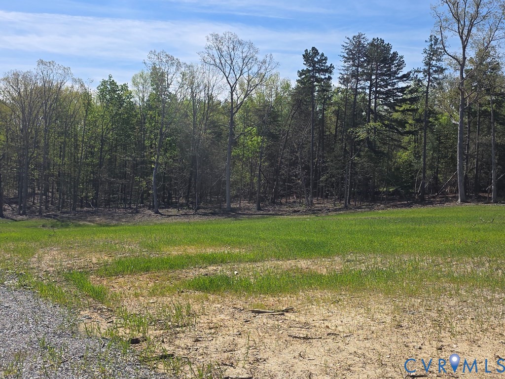 0 Farmville Road Meherrin, VA 23954 - Photo 9 of 9 a view of a yard