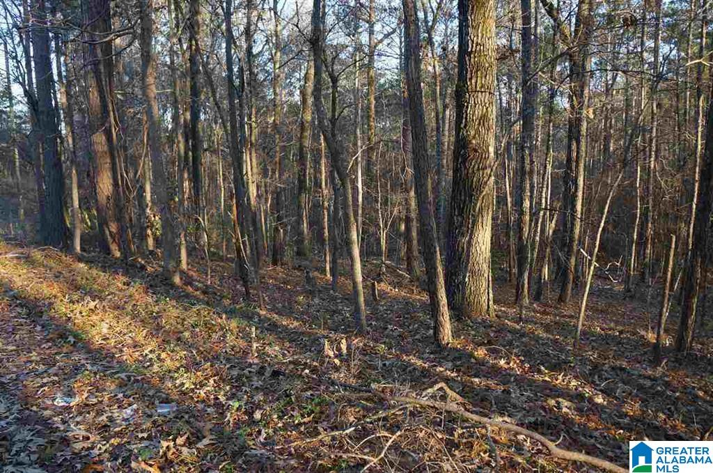 0 Azalea Road, Unit 16 & 17 Sylacauga, AL 35150 - Photo 6 of 8