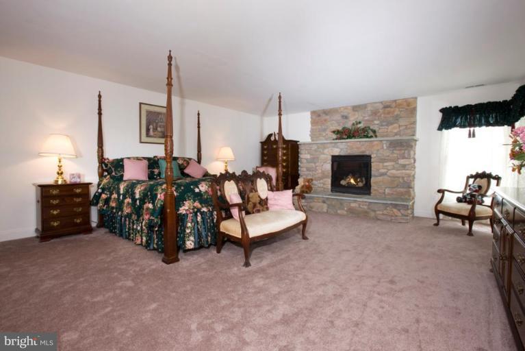 3221 Blue Ball Road North East, MD 21901 - Photo 8 of 14 Owner's Suite with Fabulous Stone Fireplace
