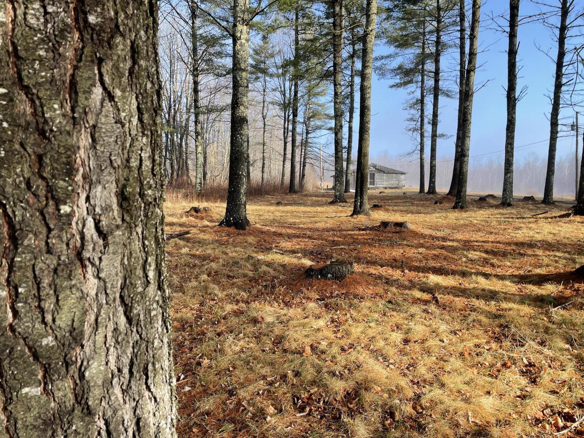184 Athens Road Harmony, ME 04942 - Photo 3 of 16 IMG_0834