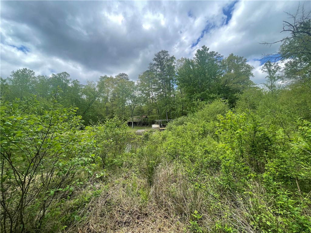 31 A Bonner Road Mountain Rest, SC 29664 - Photo 15 of 28