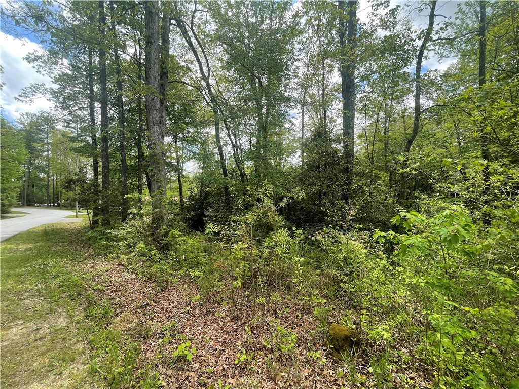 31 A Bonner Road Mountain Rest, SC 29664 - Photo 18 of 28