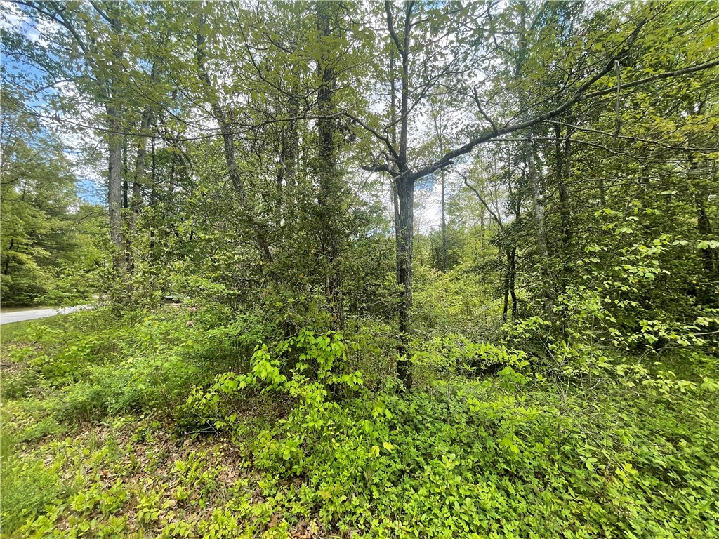 31 A Bonner Road Mountain Rest, SC 29664 - Photo 19 of 28