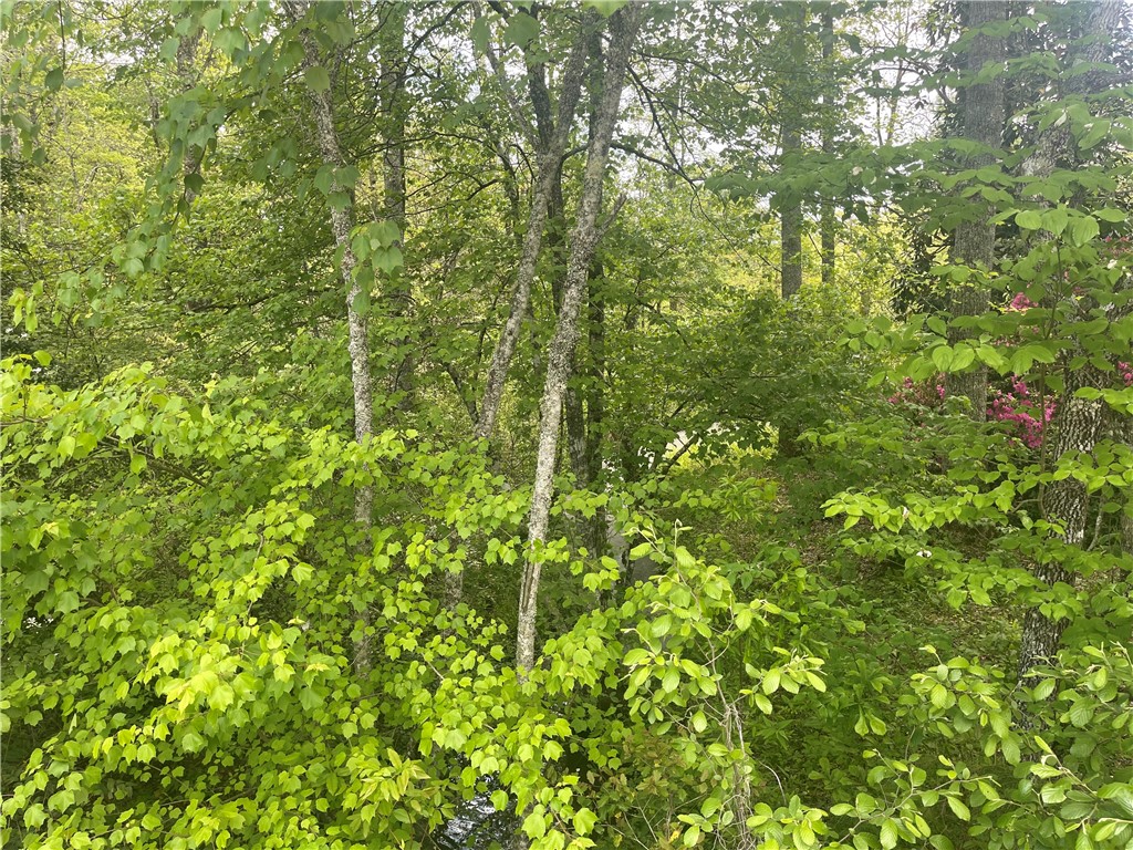 31 A Bonner Road Mountain Rest, SC 29664 - Photo 20 of 28