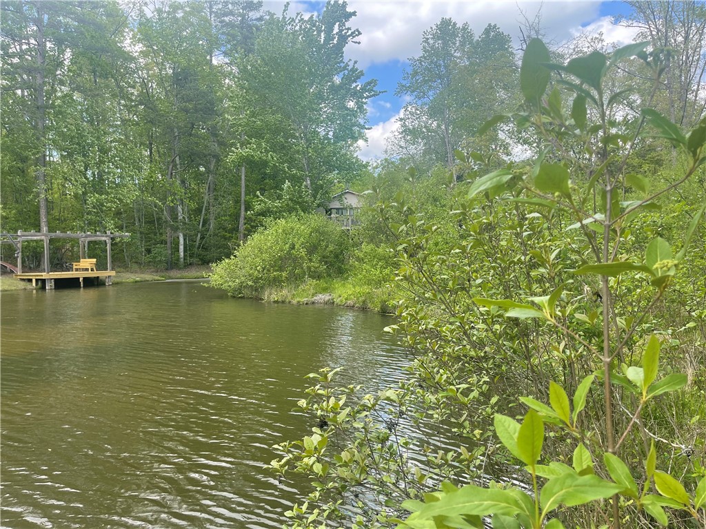 31 A Bonner Road Mountain Rest, SC 29664 - Photo 2 of 28