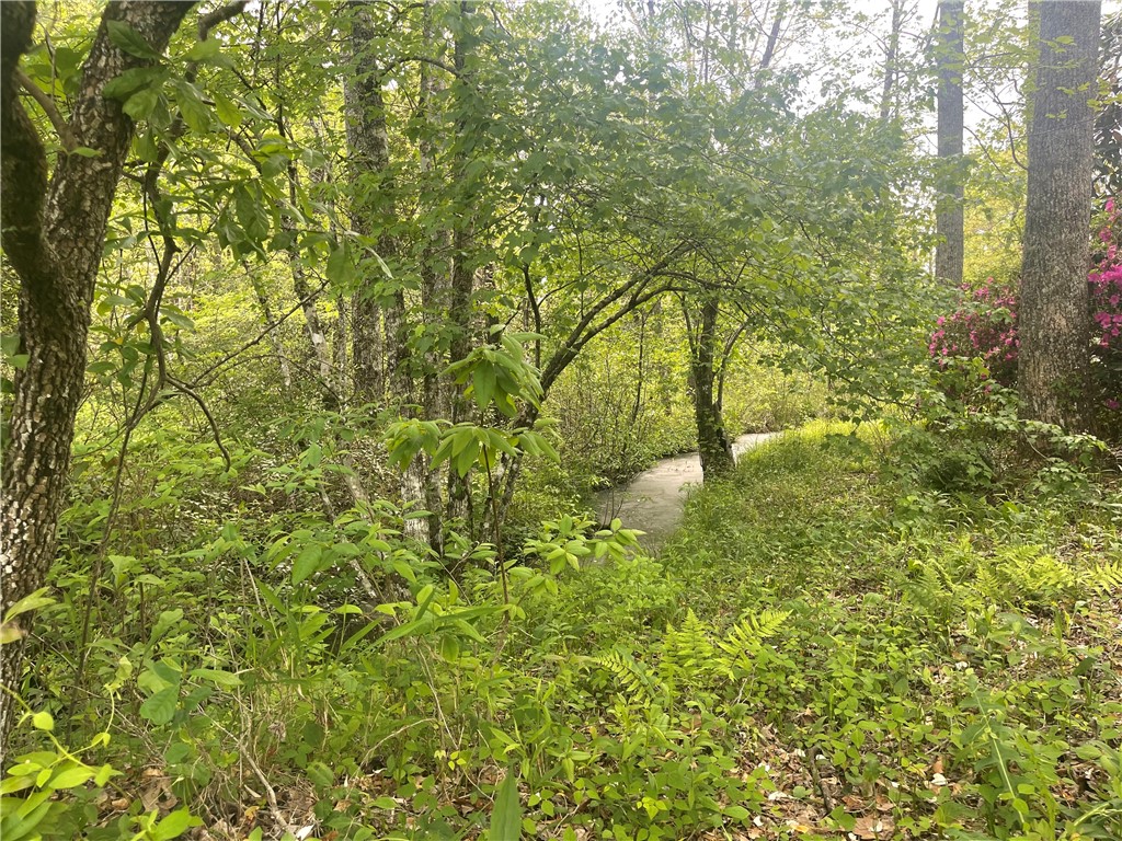 31 A Bonner Road Mountain Rest, SC 29664 - Photo 21 of 28