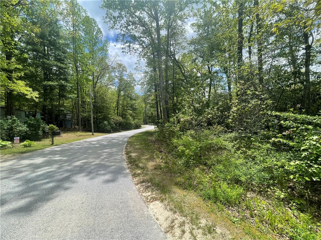 31 A Bonner Road Mountain Rest, SC 29664 - Photo 23 of 28