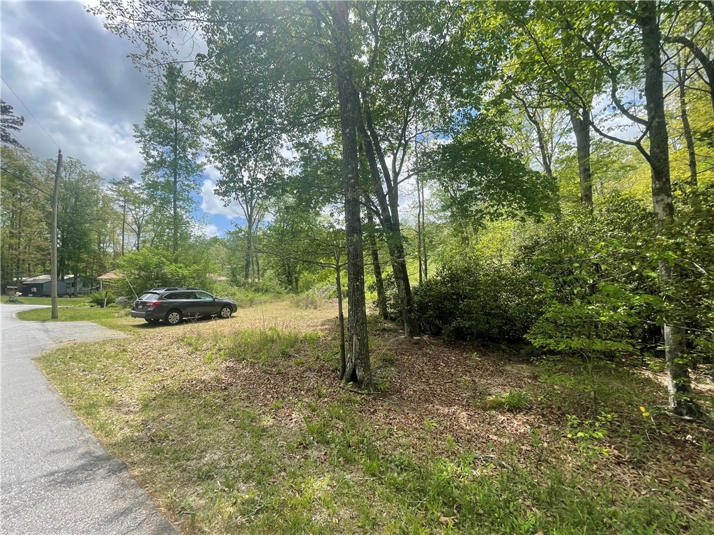 31 A Bonner Road Mountain Rest, SC 29664 - Photo 24 of 28