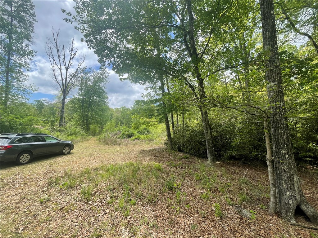 31 A Bonner Road Mountain Rest, SC 29664 - Photo 25 of 28