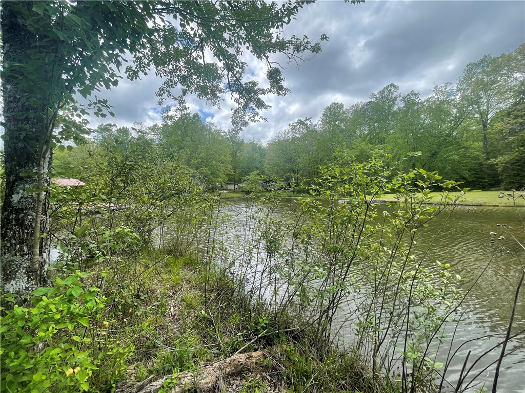 31 A Bonner Road Mountain Rest, SC 29664 - Photo 3 of 28