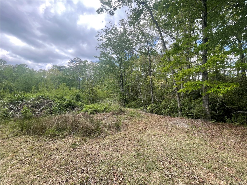 31 A Bonner Road Mountain Rest, SC 29664 - Photo 6 of 28