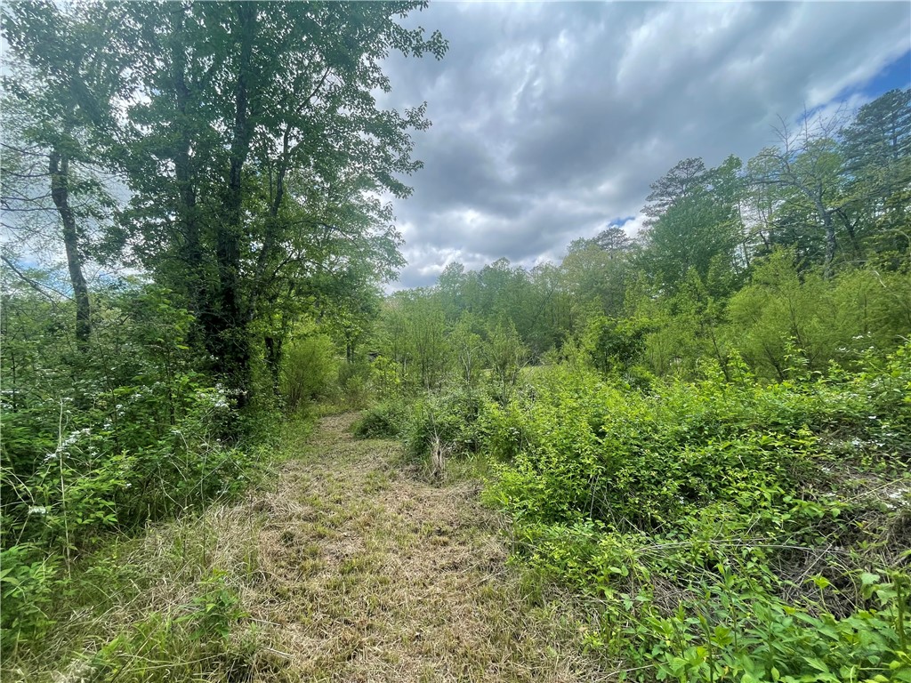 31 A Bonner Road Mountain Rest, SC 29664 - Photo 7 of 28