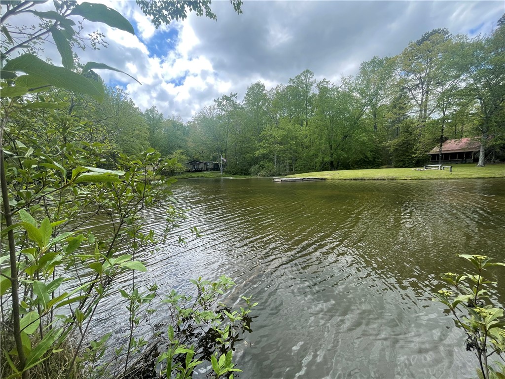 31 A Bonner Road Mountain Rest, SC 29664 - Photo 10 of 28