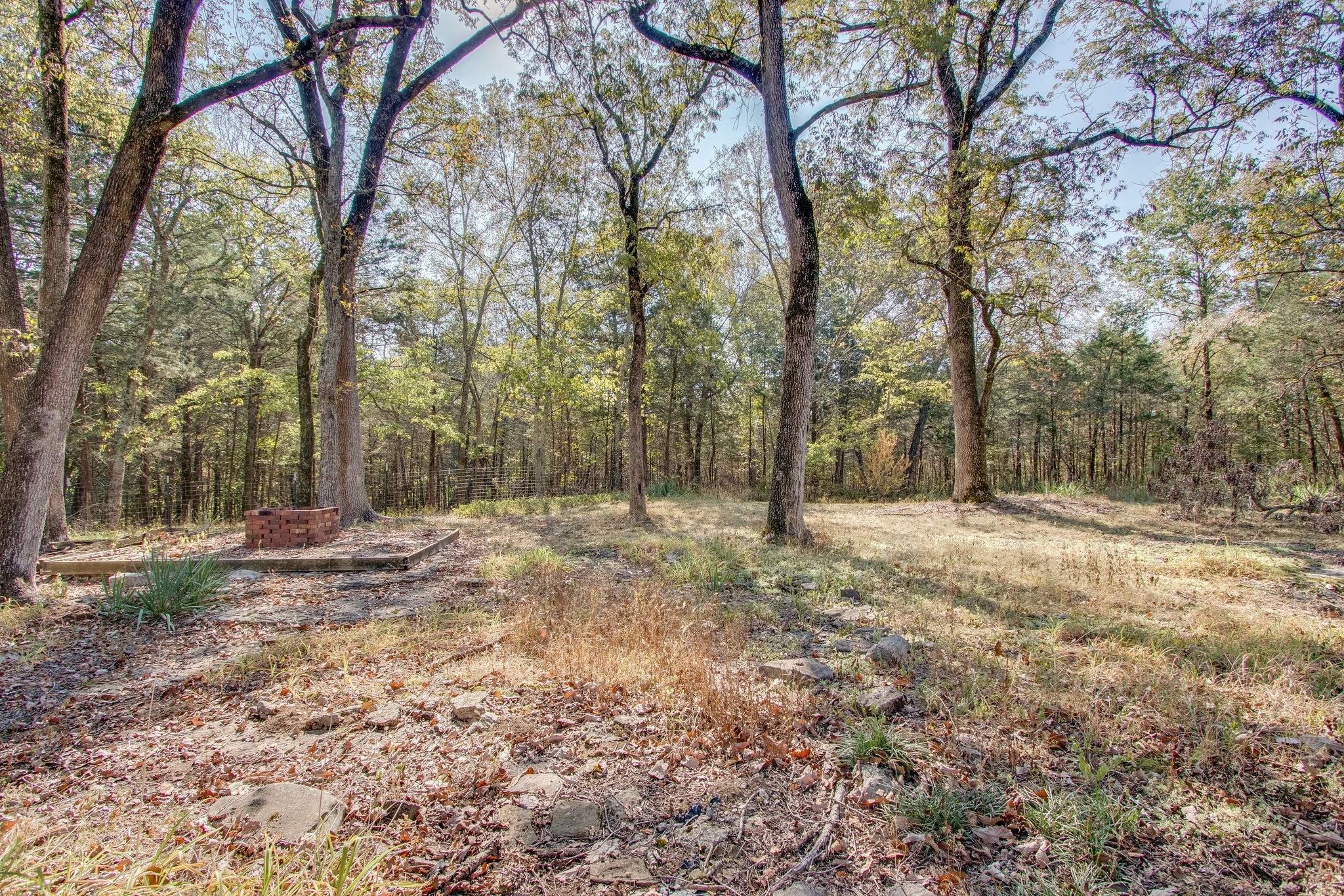 835 Beasleys Bend Road Lebanon, TN 37087 - Photo 8 of 33 a view of a yard with a tree