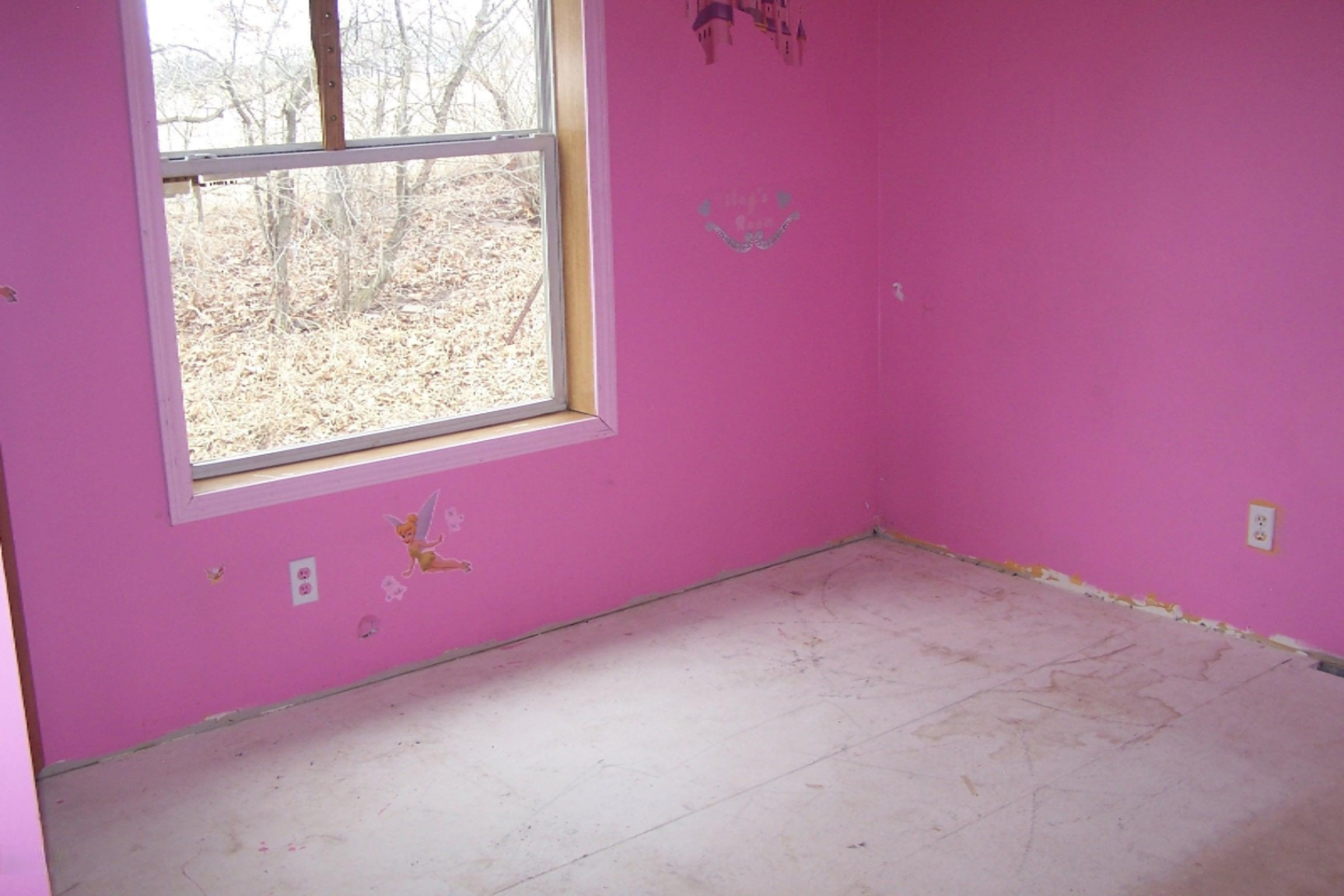 3490 Station Road Sheridan, MI 48884 - Photo 8 of 15 100_5753.JPG