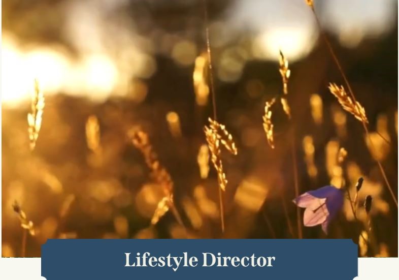 446 Silver Moon Way Katy, TX 77493 - Photo 27 of 34 Grange Feature, more to come.