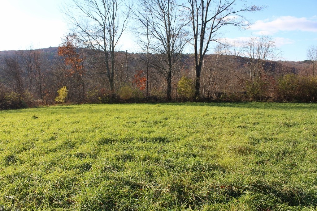 Lot 5 Prouty Road Hardwick, MA 01037 - Photo 2 of 10 a view of field with trees in the background