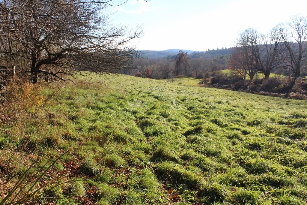 Lot 5 Prouty Road Hardwick, MA 01037 - Photo 9 of 10 a view of a yard