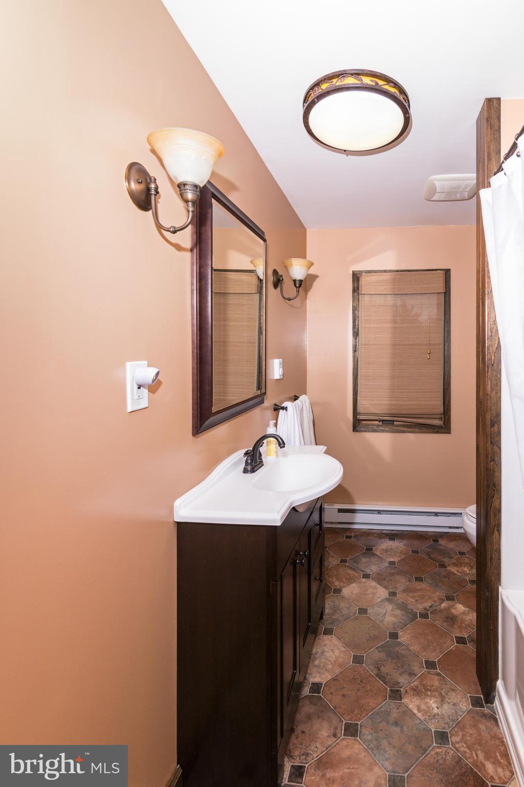 4201 Buffalo Road Mount Airy, MD 21771 - Photo 21 of 29 a bathroom with a sink a toilet and mirror