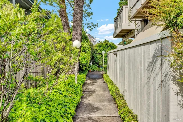 a view of a pathway in a garden