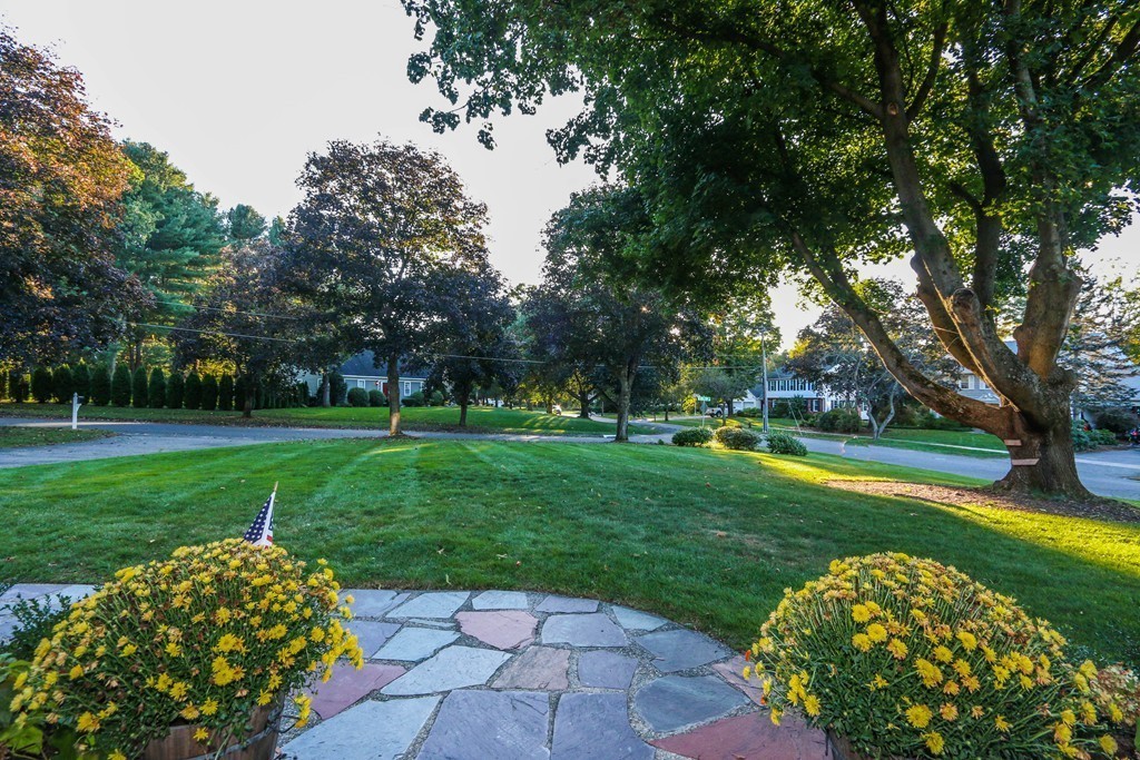 2 Hilltop Road Longmeadow, MA 01106 - Photo 21 of 24 Gallery Image 21