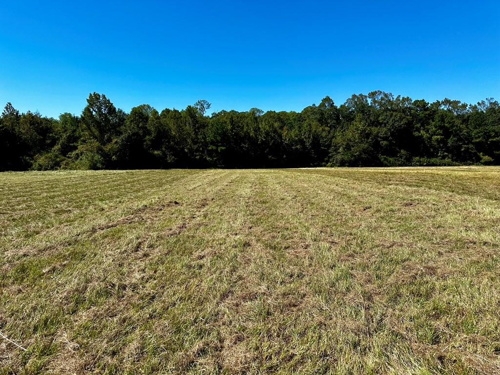 5.78-acres Cora Powell Road Samson, AL 36477 - Photo 7 of 10