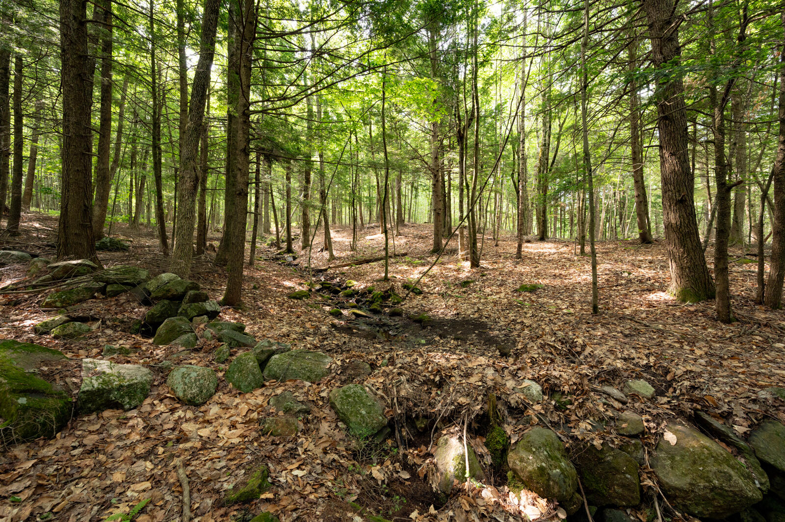 237-001 Hopper Road Acton, ME 04001 - Photo 15 of 19 DSC_2386