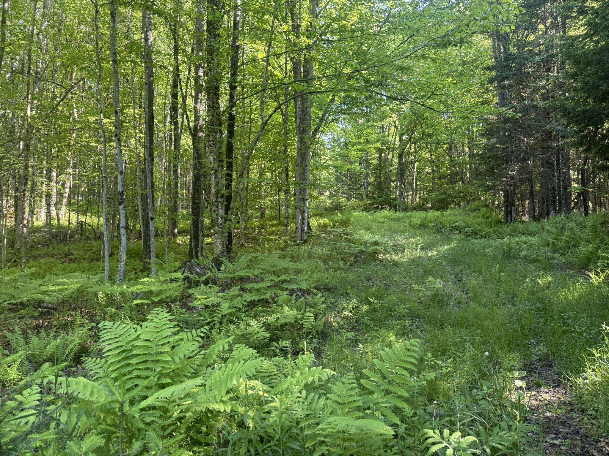 0 Roaring Brook Road Barton, VT 05822 - Photo 4 of 18