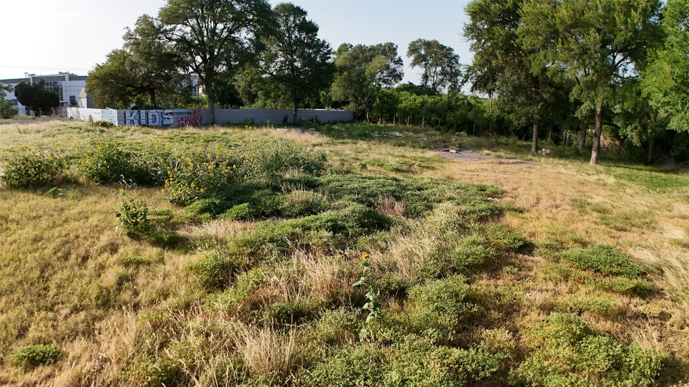 0 Bastrop Highway Austin, TX 78742 - Photo 4 of 6 A spacious, naturally vegetated lot offers a blank canvas for development.
