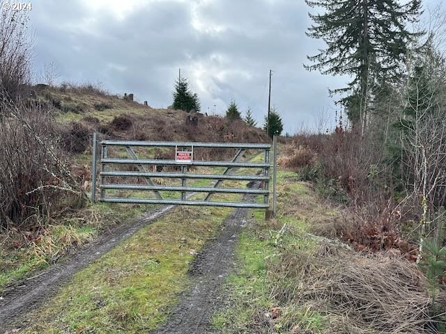 Bodine Clatskanie, OR 97016 - Photo 15 of 31 a view of a yard with wooden fence