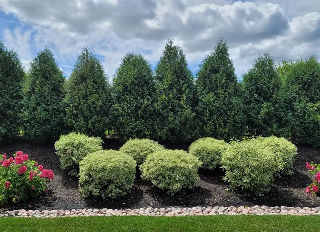 $859,000 | 11701 Golden Gate Drive, Mokena, IL 60448