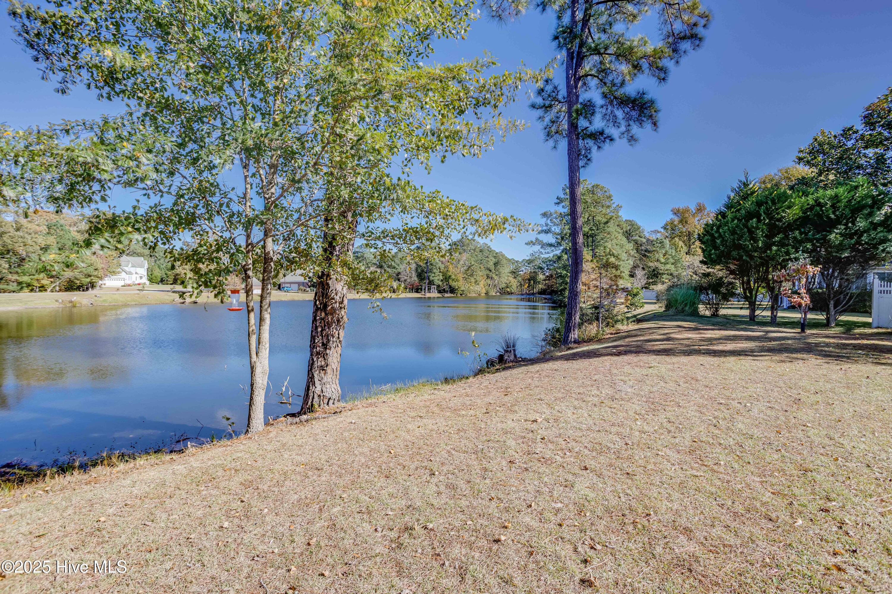 112 Raccoon Run Washington, NC 27889 - Photo 18 of 55 112 Raccoon lake view 1