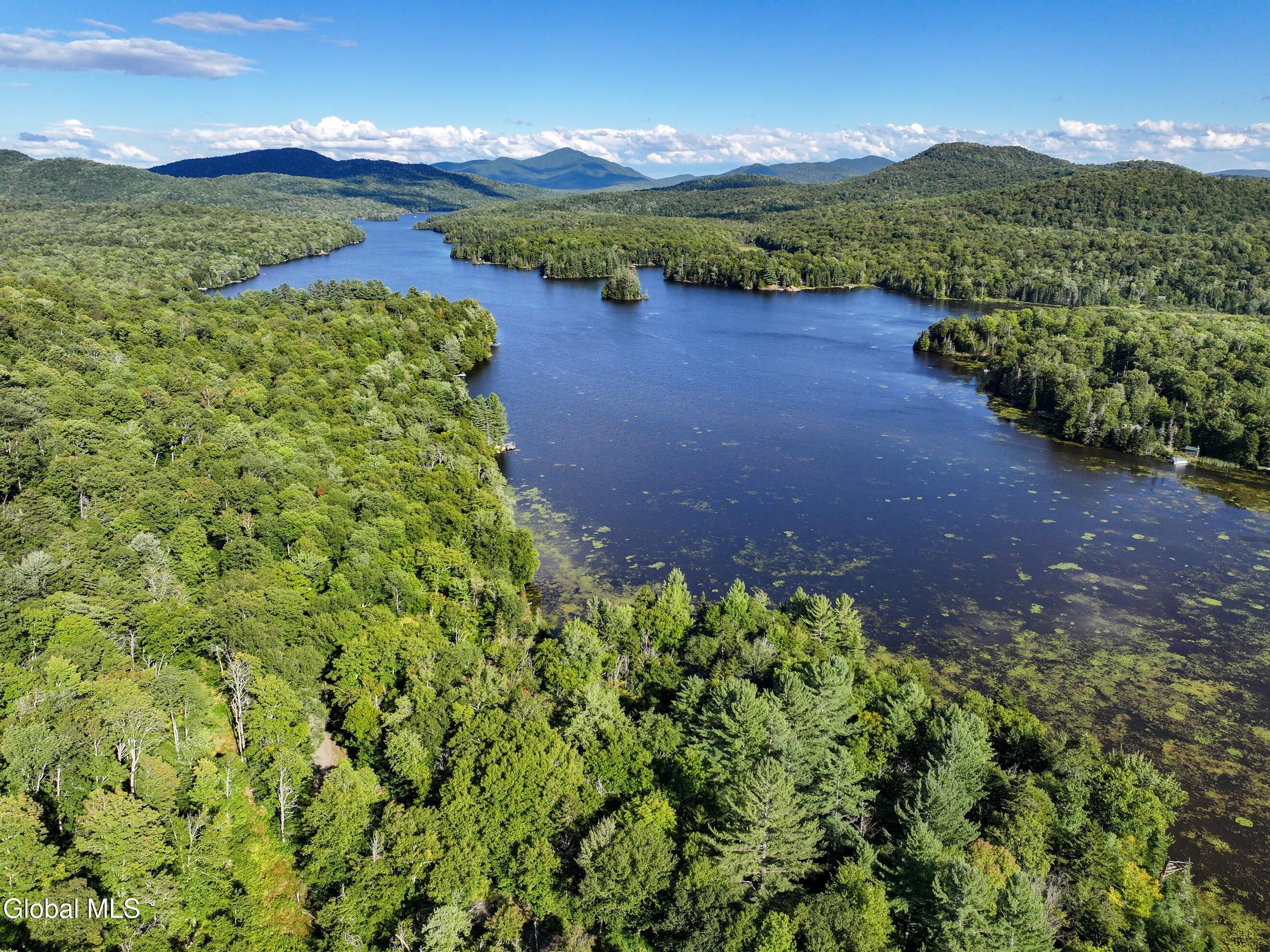 427 Woody's Road Newcomb, NY 12852 - Photo 1 of 15 DJI_20250825164455_0602_D-3 (Copy)