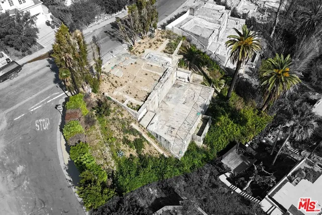 a view of plants and garden