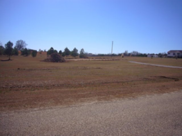 2857 Stanley Maxwell Road Bowman, GA 30624 - Photo 3 of 3
