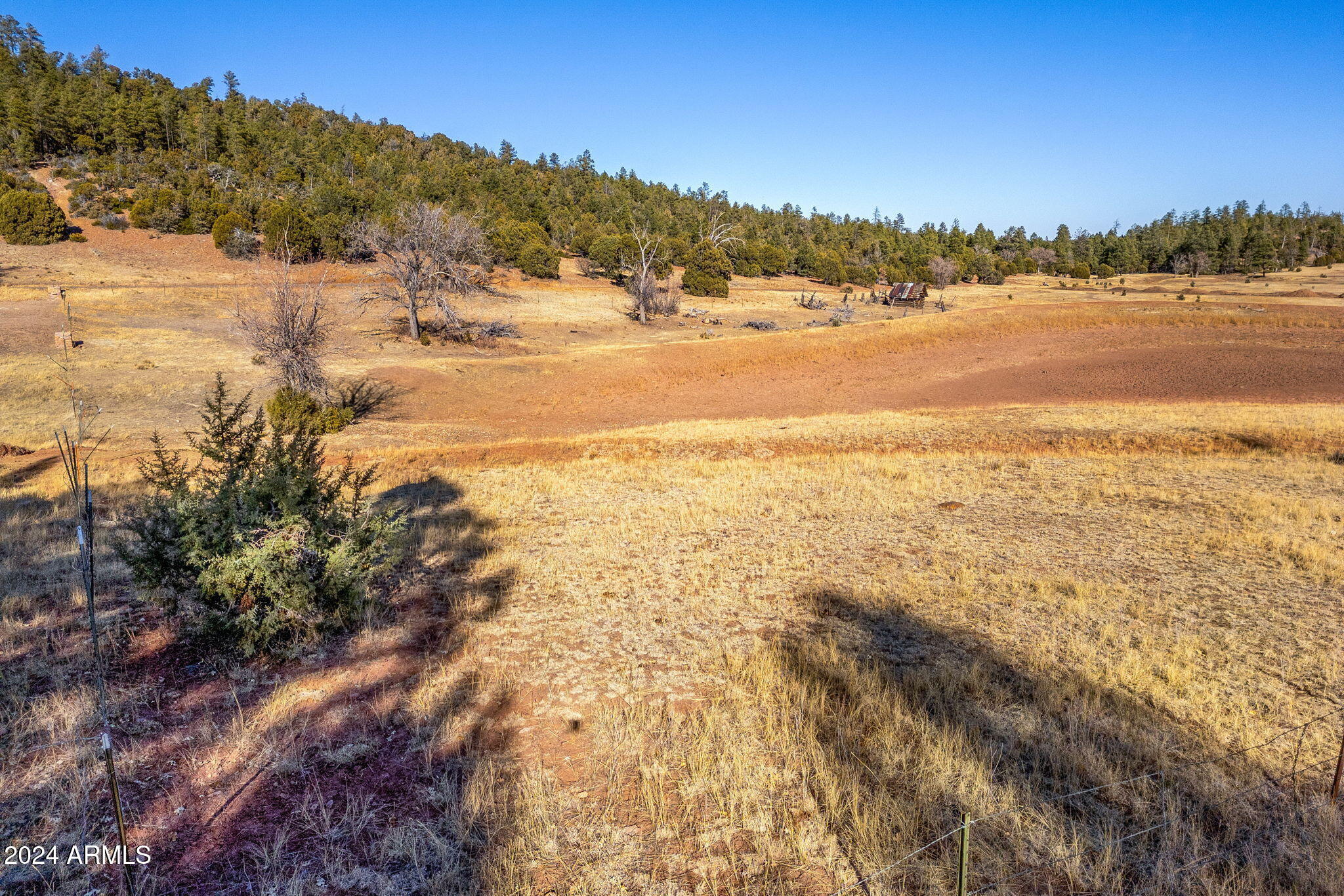 3537 Forest Service Road Overgaard, AZ 85933 - Photo 11 of 16 ForestRoad107AParcel-Heber-AZ-10