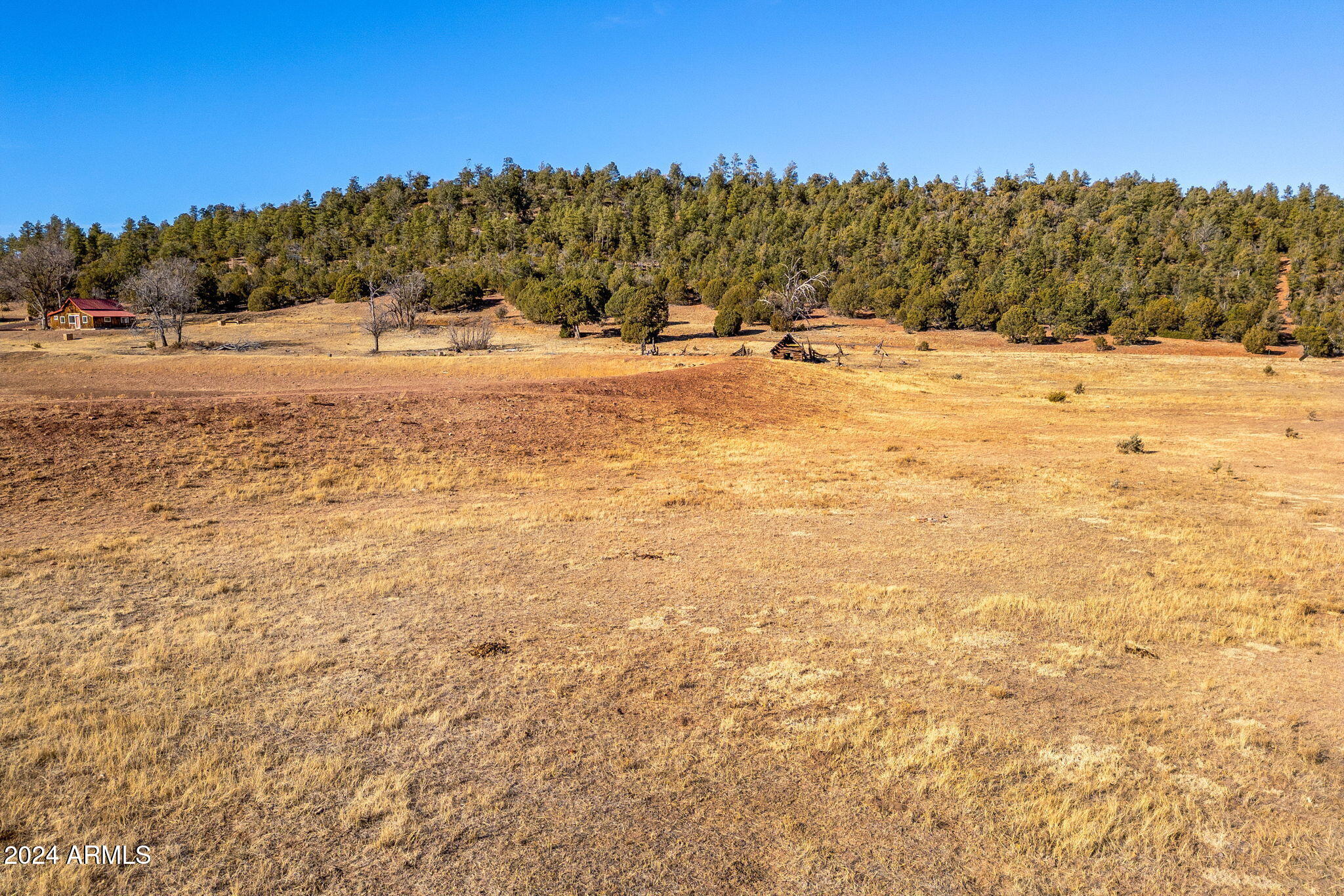 3537 Forest Service Road Overgaard, AZ 85933 - Photo 12 of 16 ForestRoad107AParcel-Heber-AZ-11