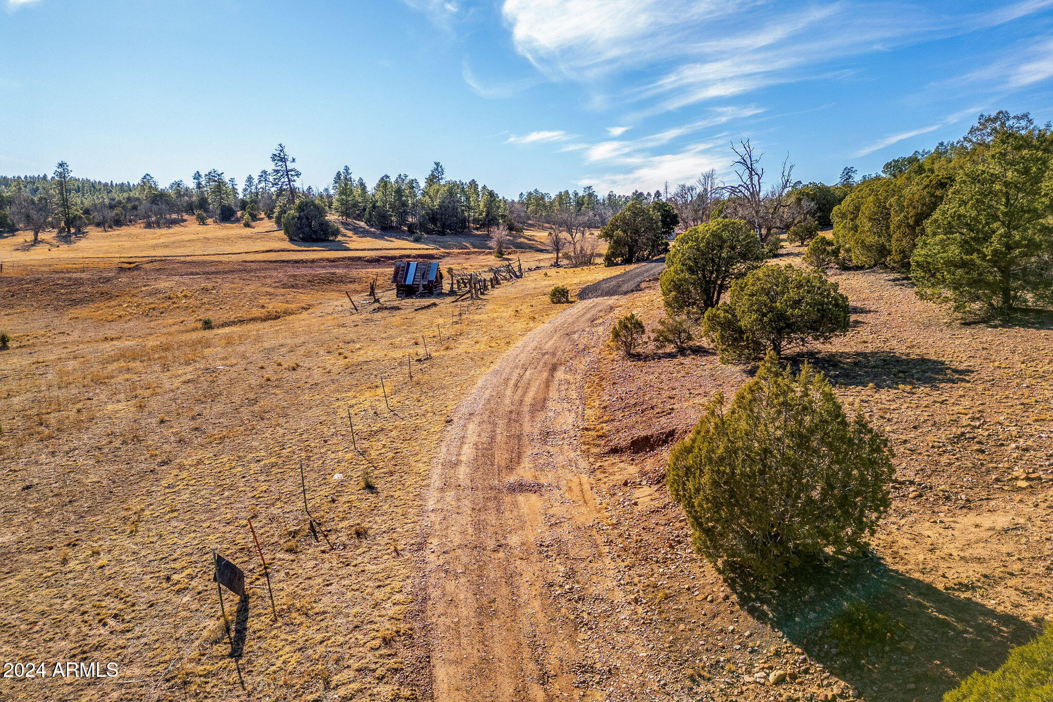 3537 Forest Service Road Overgaard, AZ 85933 - Photo 13 of 16 ForestRoad107AParcel-Heber-AZ-14