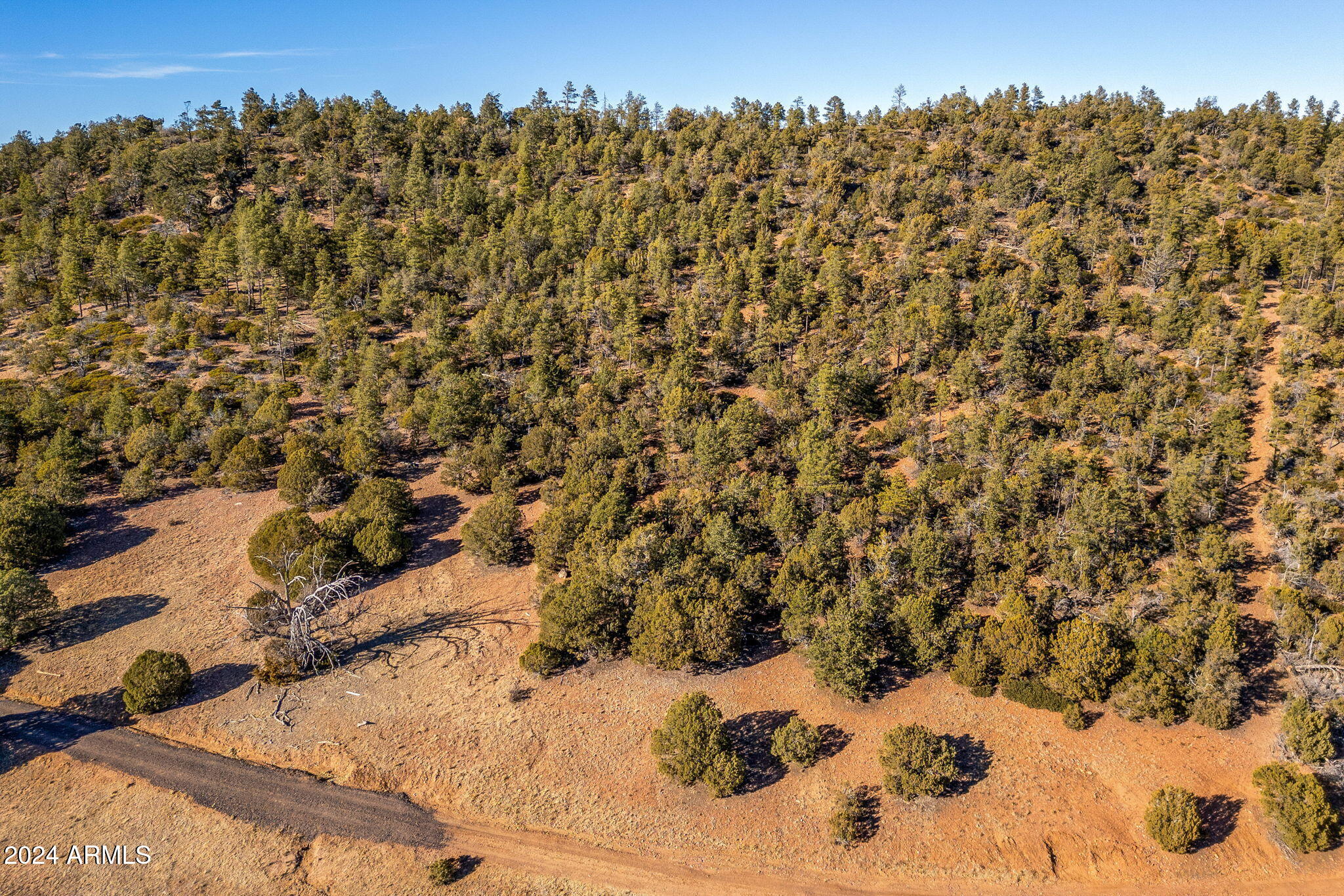 3537 Forest Service Road Overgaard, AZ 85933 - Photo 14 of 16 ForestRoad107AParcel-Heber-AZ-15
