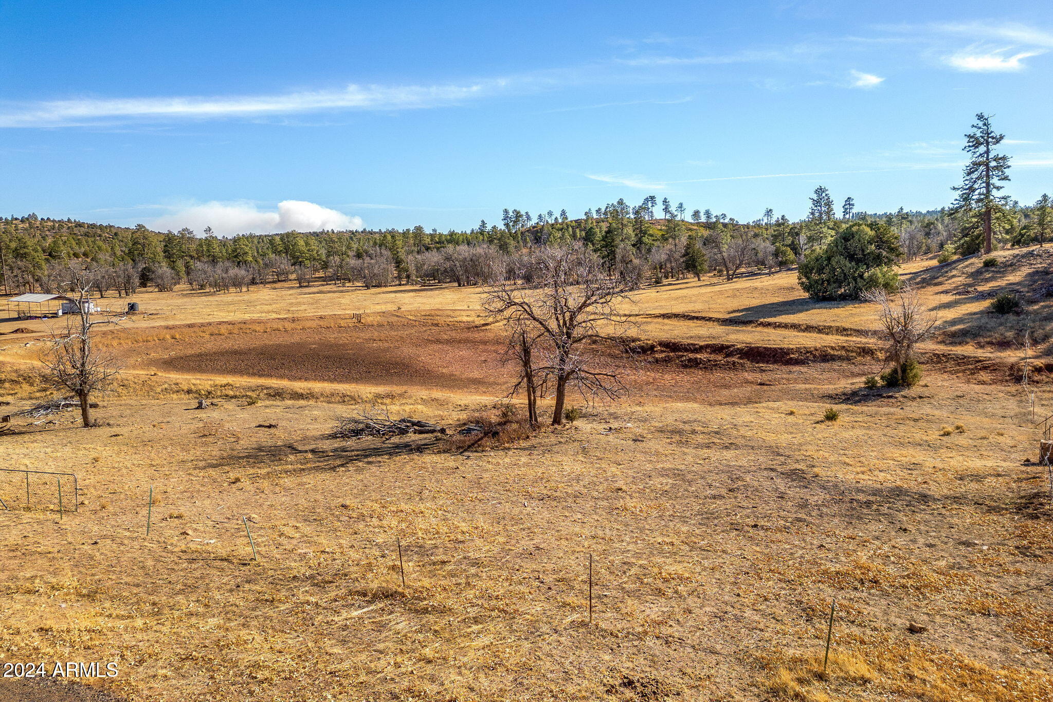 3537 Forest Service Road Overgaard, AZ 85933 - Photo 15 of 16 ForestRoad107AParcel-Heber-AZ-16