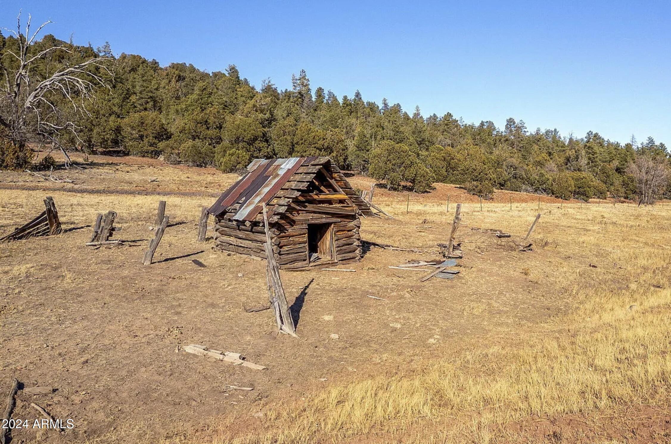 3537 Forest Service Road Overgaard, AZ 85933 - Photo 16 of 16 old cabin