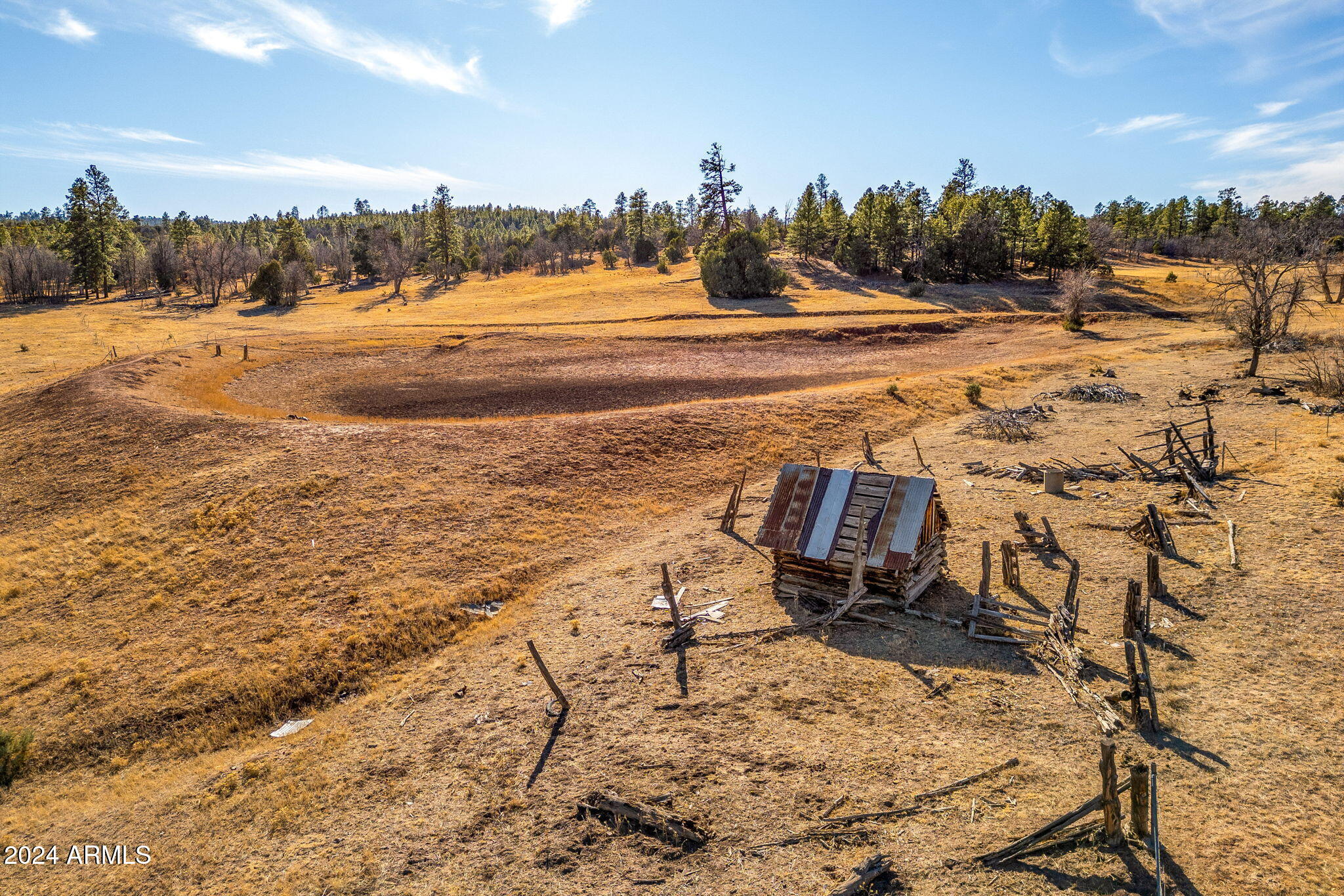 3537 Forest Service Road Overgaard, AZ 85933 - Photo 3 of 16 ForestRoad107AParcel-Heber-AZ-13