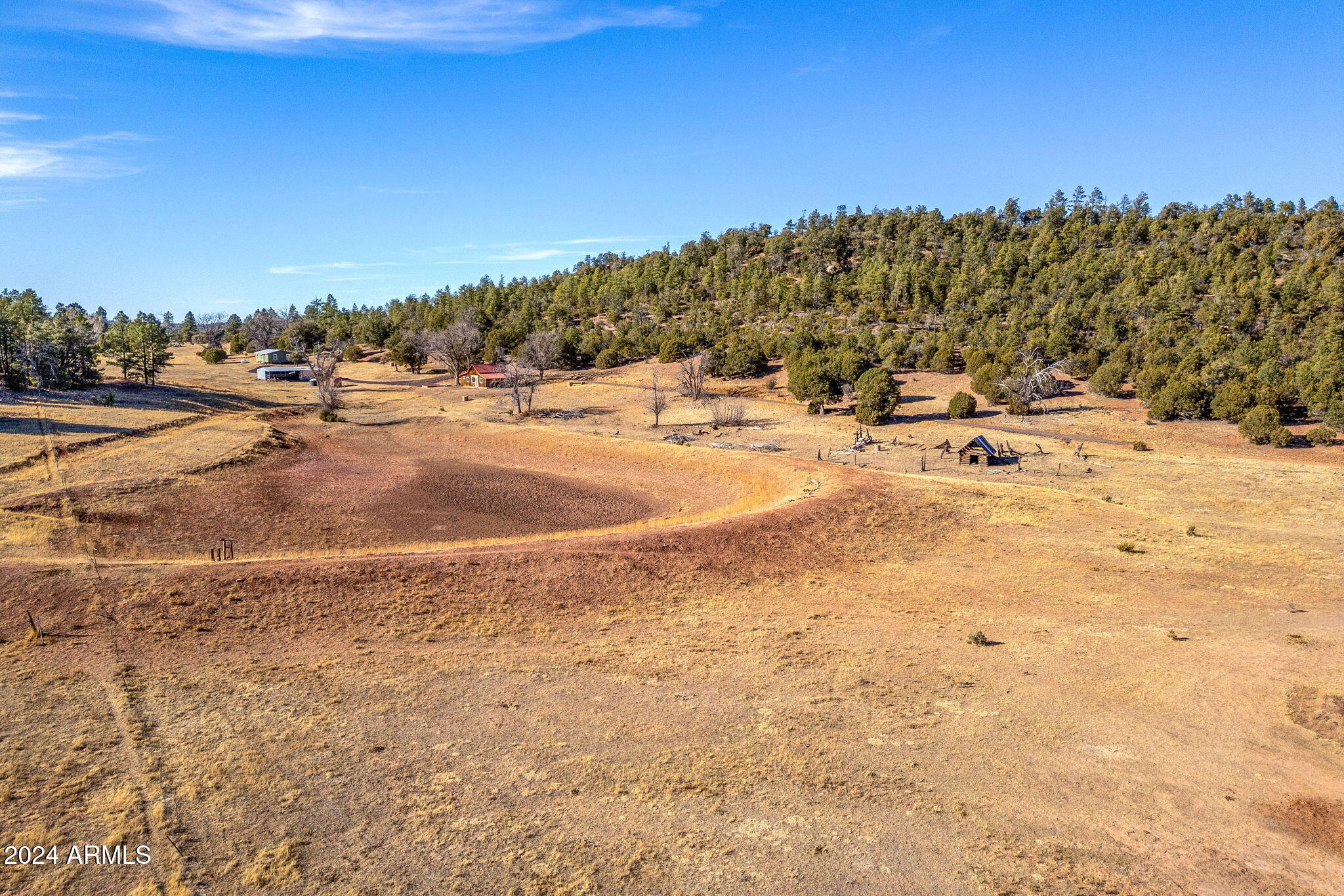 3537 Forest Service Road Overgaard, AZ 85933 - Photo 10 of 16 ForestRoad107AParcel-Heber-AZ-9