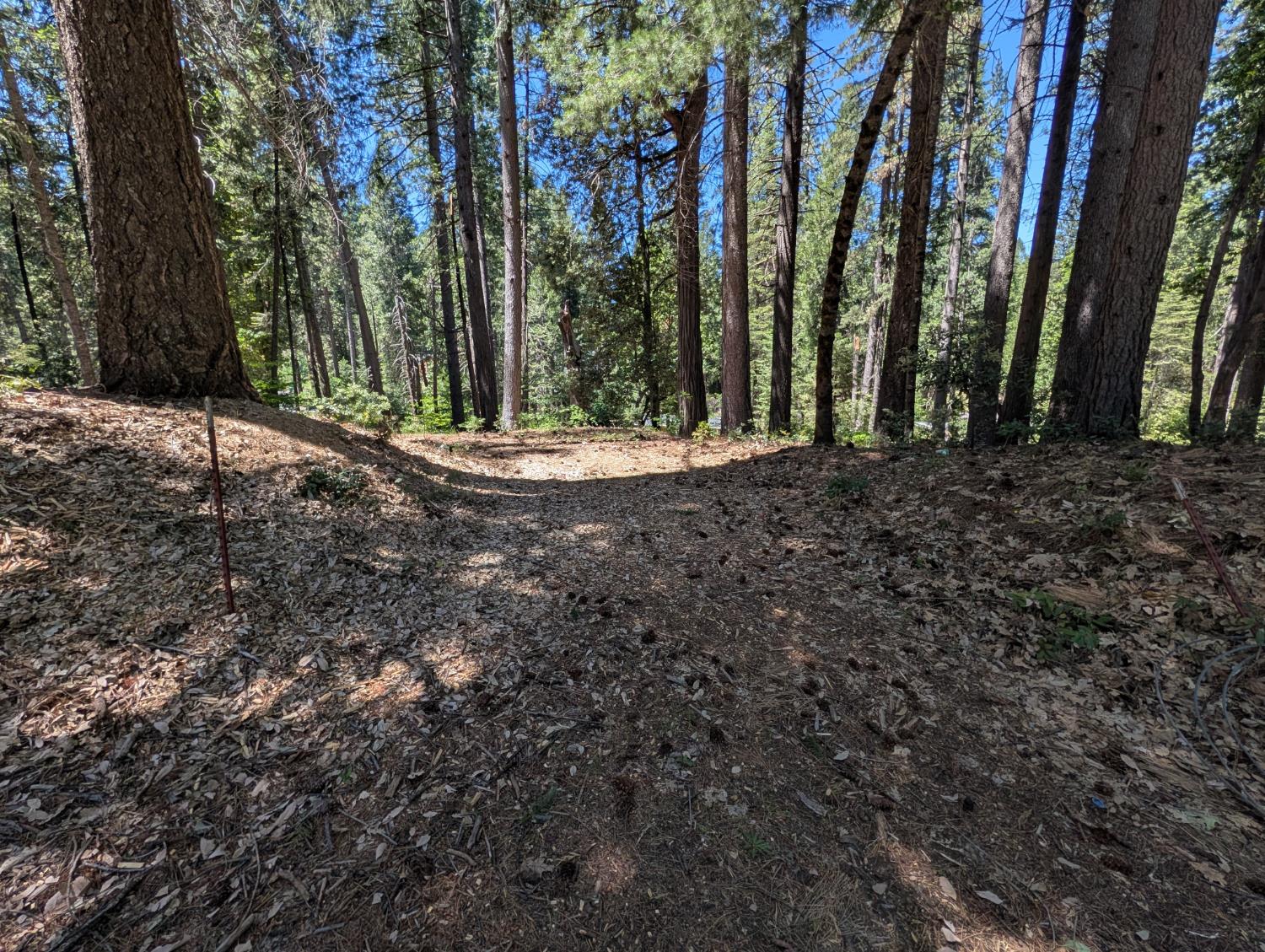 16819 Pasquale Road Nevada City, CA 95959 - Photo 5 of 10 a view of outdoor space with deck and trees