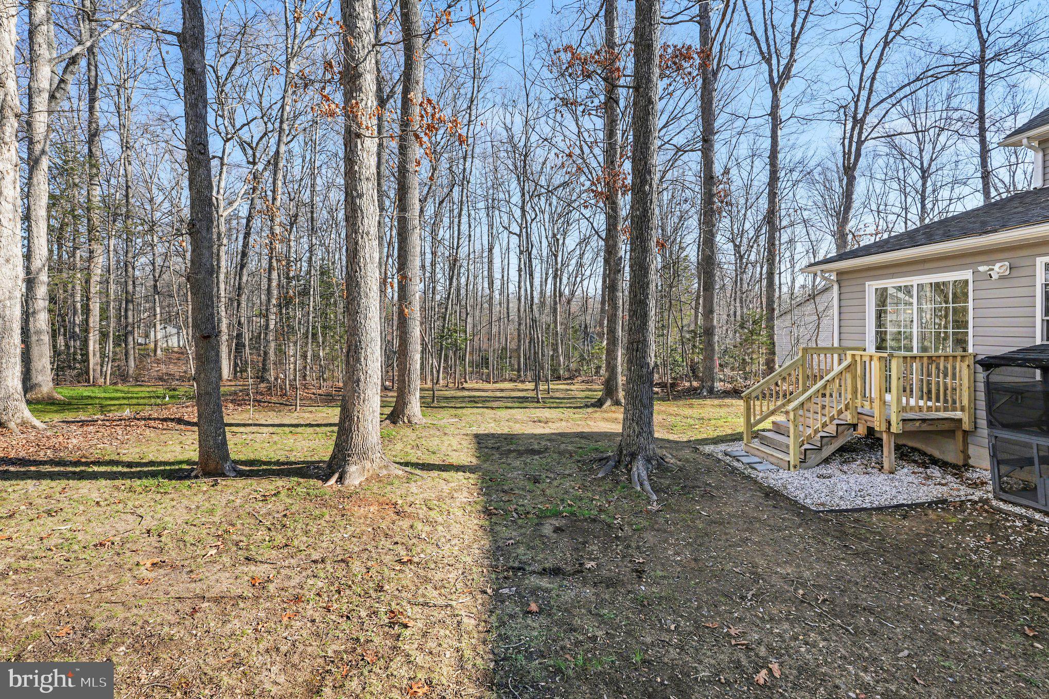 117 Butler Circle Locust Grove, VA 22508 - Photo 35 of 35 a view of a house with a backyard and a tree