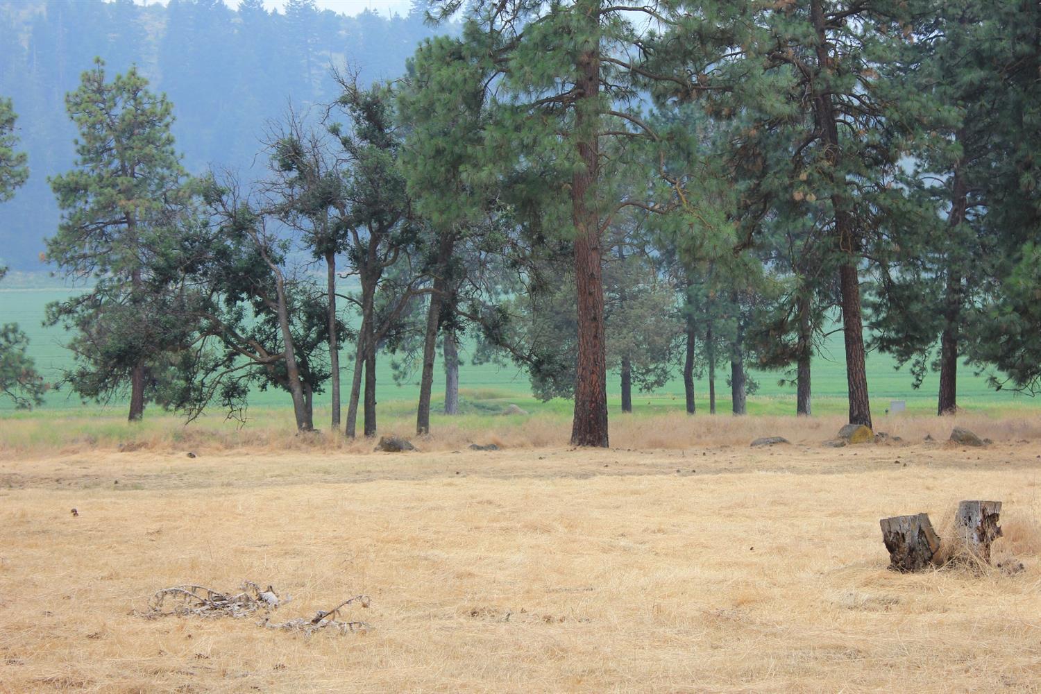 0 Merganser Road Klamath Falls, OR 97601 - Photo 2 of 6 Additional Photo