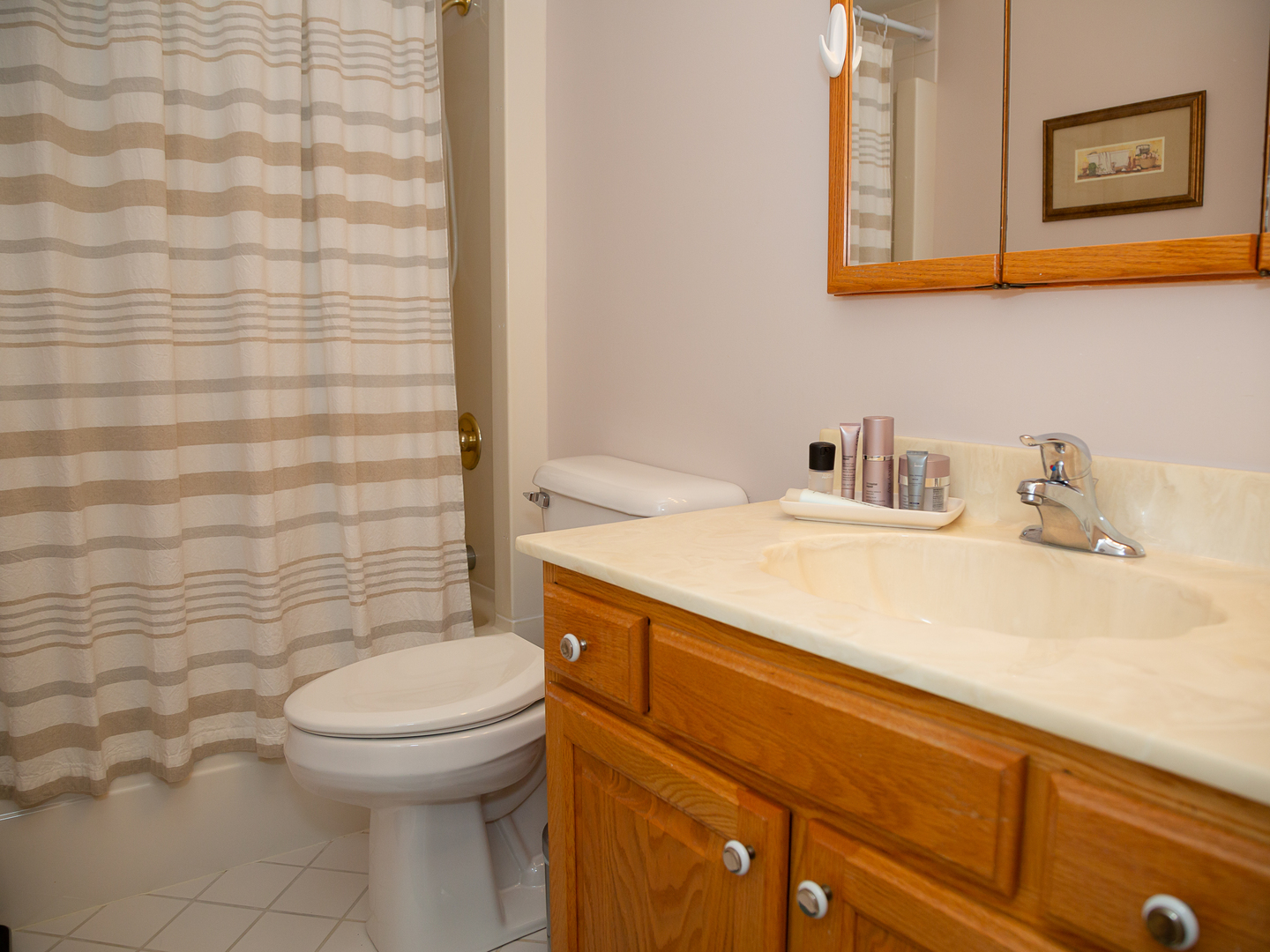 209 Kay Street Tonica, IL 61370 - Photo 12 of 40 a bathroom with a sink a toilet and a shower