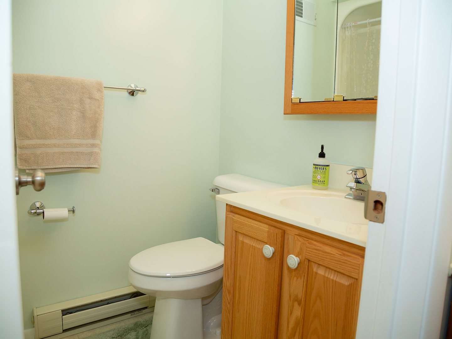 209 Kay Street Tonica, IL 61370 - Photo 16 of 40 a bathroom with a sink a toilet and a mirror