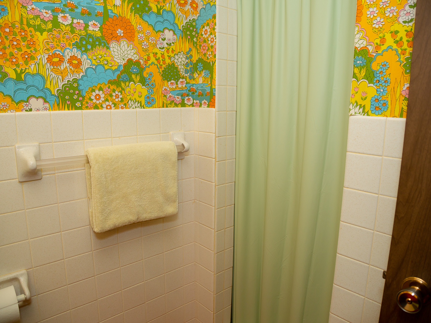 209 Kay Street Tonica, IL 61370 - Photo 29 of 40 a bathroom with a shower
